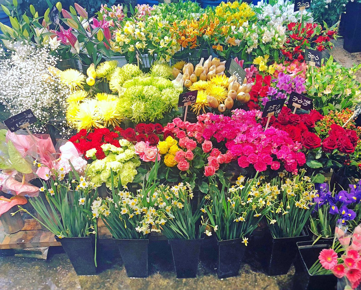 黒沢生花店 على تويتر 今日の花揃え 年末のご注文が増えてきました 来週の切り花の仕入れは 月 水 金曜の予定です 尼崎市 立花駅 立花市場 花屋 黒沢生花店 生花 切り花 アルストロメリア ユリ デコラマム かすみ草 ヒペリカム バラ