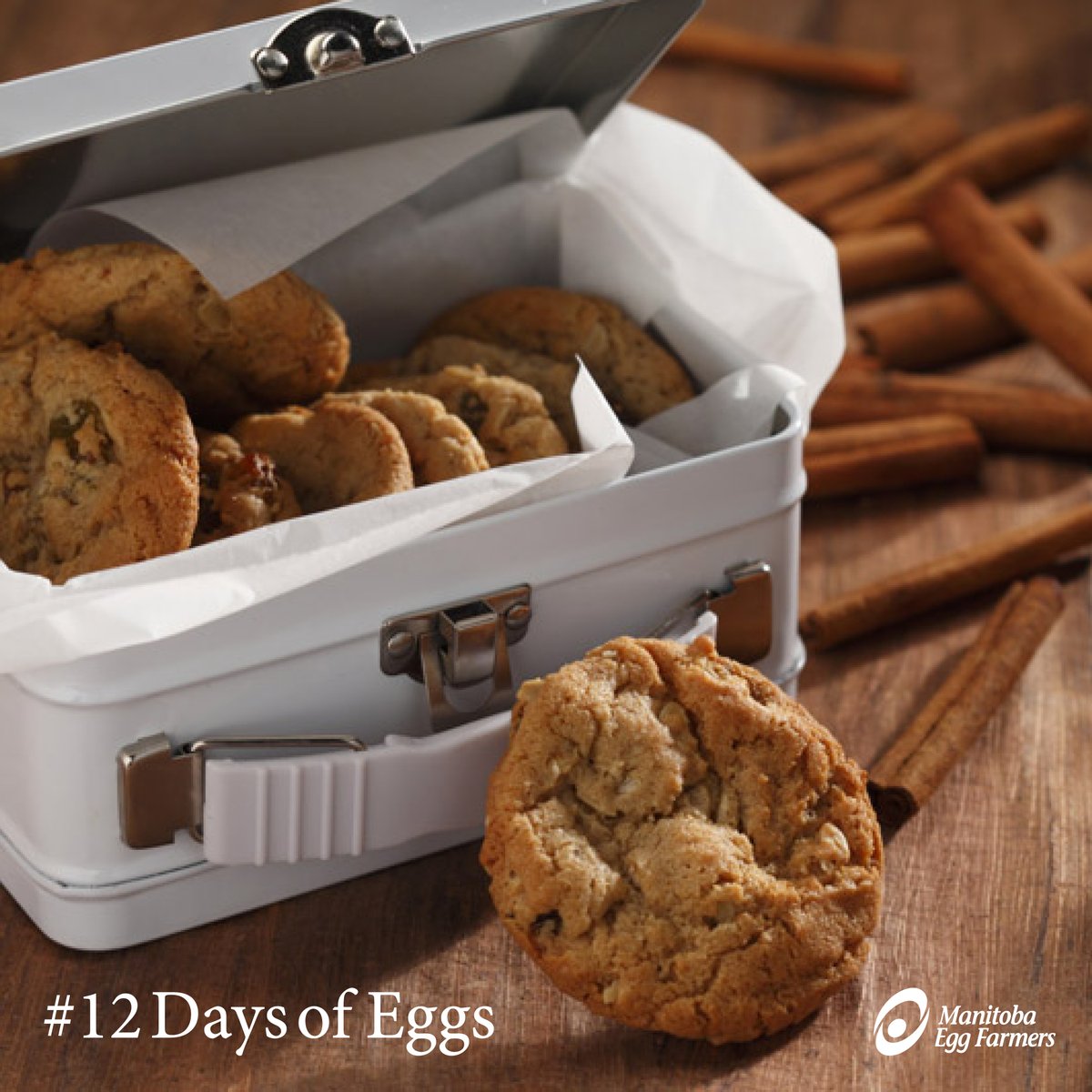 eggsmanitoba's tweet photo. #12DaysofEggs Just 5 days left until Christmas! Oatmeal cookies are a classic that pleases everyone. Santa would be very happy to see these Oatmeal Cookies on his plate and some Eggnog to wash them down.
https://t.co/zDvsCpKvTu https://t.co/89lKOiaAzf