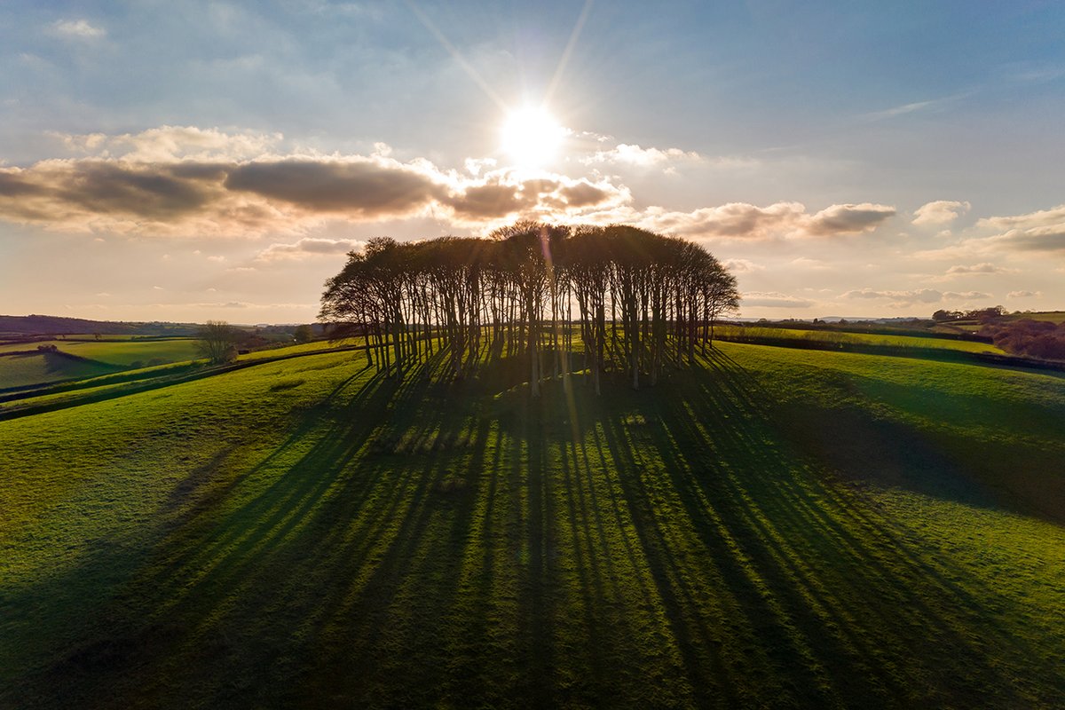 Rohrs & Rowe tweet media