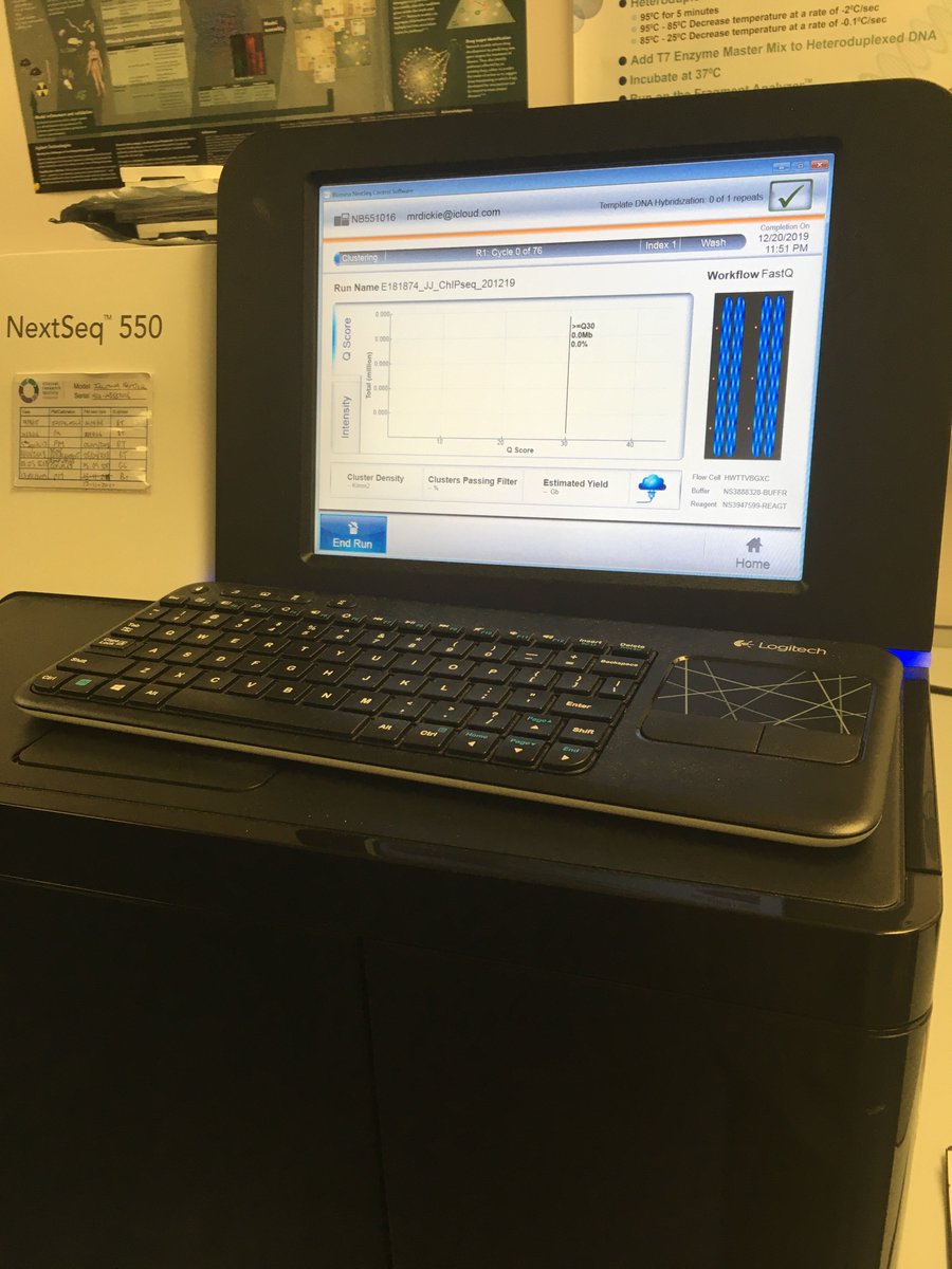 Angie_Fawkes's tweet photo. Last run of the year on our @Illumina NextSeq. This one is for Jeanette Johansson @MRC_IGMM. 2019 has been a very busy year for the #SequencingTeam. 235 runs this year alone! (576 in total). Thanks to all the team for your hard work! Have a great Christmas and New Year! https://t.co/1F3N9thDkm