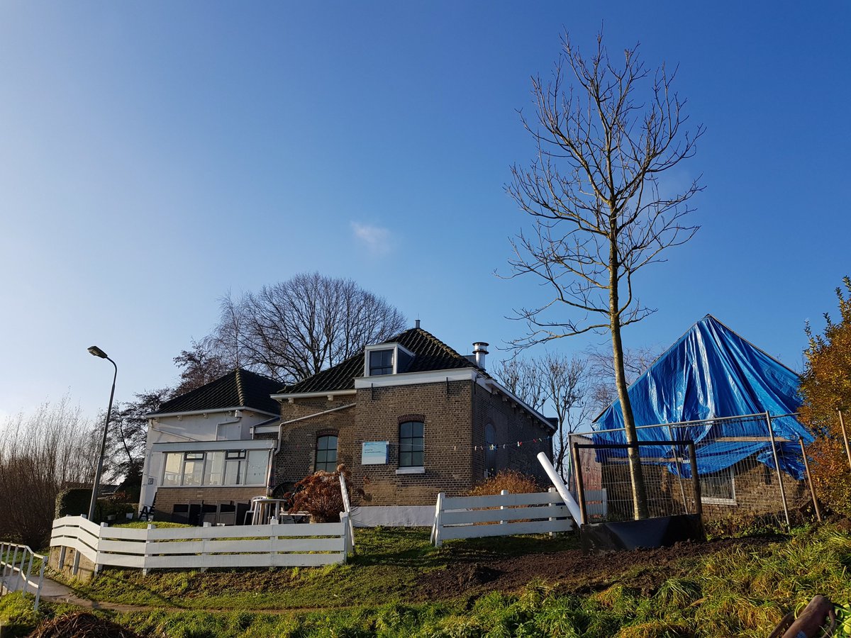 hhdelfland's tweet photo. Bij het #gemaal aan de #Commandeurspolder #Maasland staat een nieuwe boom. De walnotenboom is geplant als compensatie voor de eerder dit jaar gekapte es. Nu mogen we van dit pareltje genieten. #Delfland https://t.co/dlEkM6rZiQ https://t.co/9vssUHYHiH