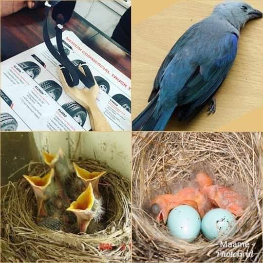 When you kill someone's vision, it's not him that suffer but the people that depend on him. So don't destroy someone because you hate him, think about the innocent people that are behind him for survival. 😭😭😭