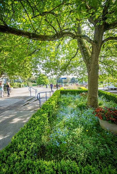 BathTR's tweet photo. Time for greener pastures? Come join the award-winning @BathTR team at @UniofBath as our REACT lead, working closely with our @exposetobacco partners @TheGGTC @VitalStrat @TheUnion_TBLH.  Salary £33,797-£40,322. Apply by 19 Jan 2020. https://t.co/CLUwmq4Xl1 https://t.co/R22UVJPHMw