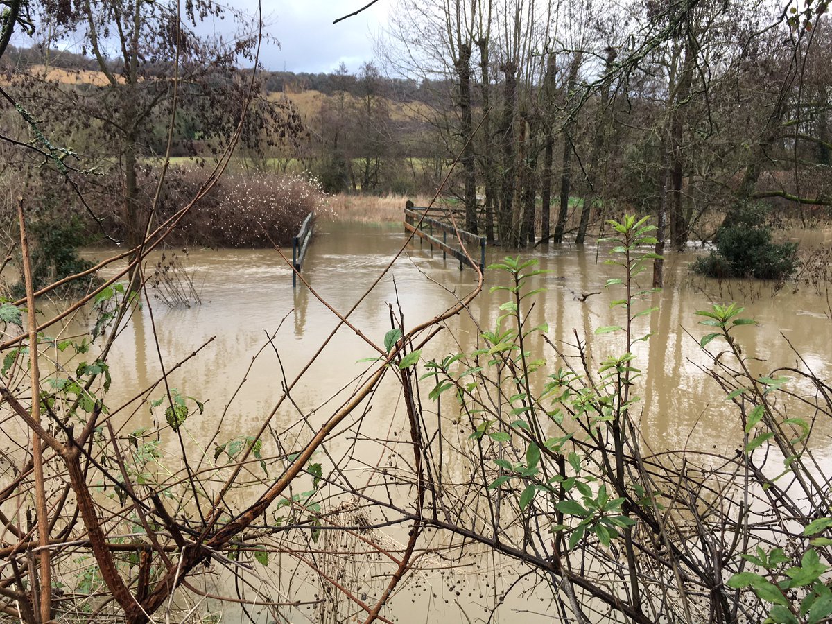 Jess_n1's tweet photo. The #RiverMole #Pixham burst its banks in the last hour. Those at risk are preparing with flood defences and moving valuables upstairs. Very sad to see the effects on #wildlife too - moles are rarely seen as they spend their time underground #floodwatch #floodalert https://t.co/ZcoO6ppIfC