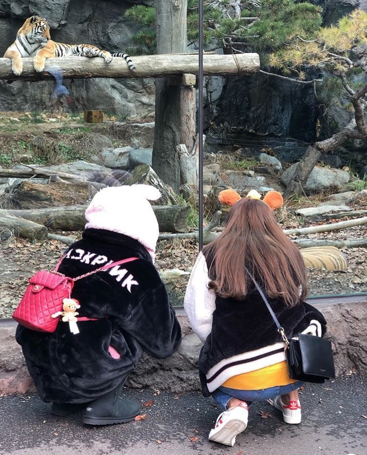 lalisa27forever's tweet photo. น้อนนนนนนนนน น่ารักจังเลยลูกกกกก😭 https://t.co/QVguJJm8u8