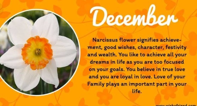 TAETAEDecember 30Birth Flower: Narcissus-This flower signifies character. Narcissus born are those who are family-centered and are loyal in love(Recently he talked about how he wanted to be just like his dad someday. He also said once he will retire at age 40 for his wife)