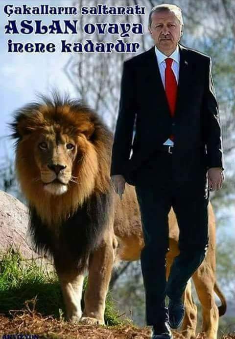 ÇAKALLARIN SALTANATI ASLAN OVAYA İNENE KADARDIR