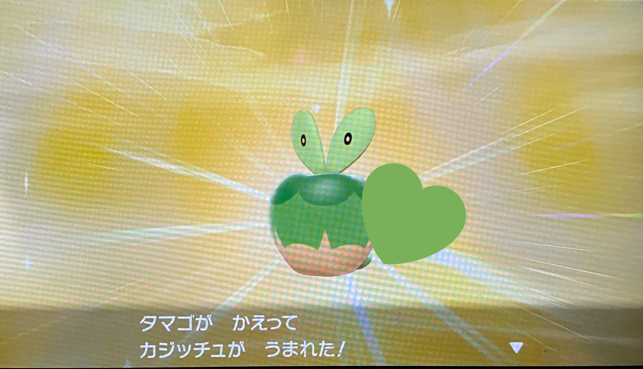 まいたん カジッチュの色違い やっと出せたよ 可愛いな みどり でも青りんご 笑 これも前に諦めたポケモンだった 444個目でうまれたー 色違い6匹目 次はどうしようかな ポケモン剣盾 カジッチュ 色違い T Co Tt7rlb6xam