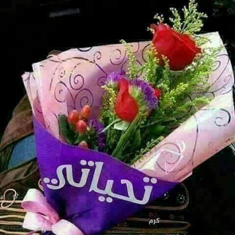 480_sally's tweet photo. مساء الخير والسعادة https://t.co/FYAMKfcEOs