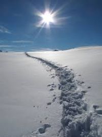 Domenica 22 Dicembre il Parco Nazionale dello Stelvio per aspetta per una fantastica escursione sulla❄️❄️
➡️areaparchi.it/dettaglio.php?…
#neve #natura #passeggiate #biodiversità #ParchidiLombardia #AreeProtette #inLombardia