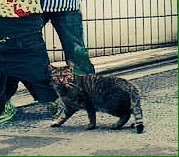 EMOBZl_VAAA0G4x?format=jpg&name=240x240