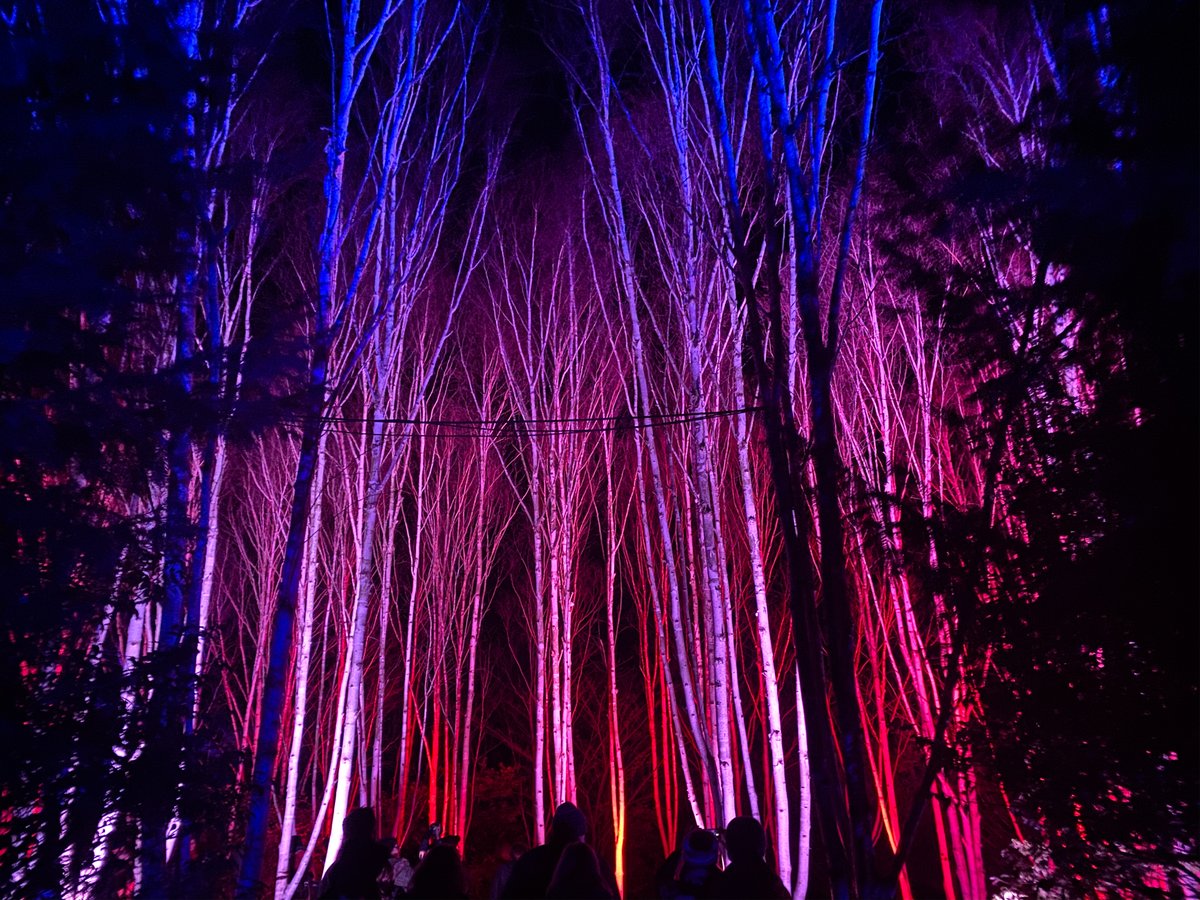 Pearce Hire On Twitter Pearcehire Are Full Of Festive Cheer