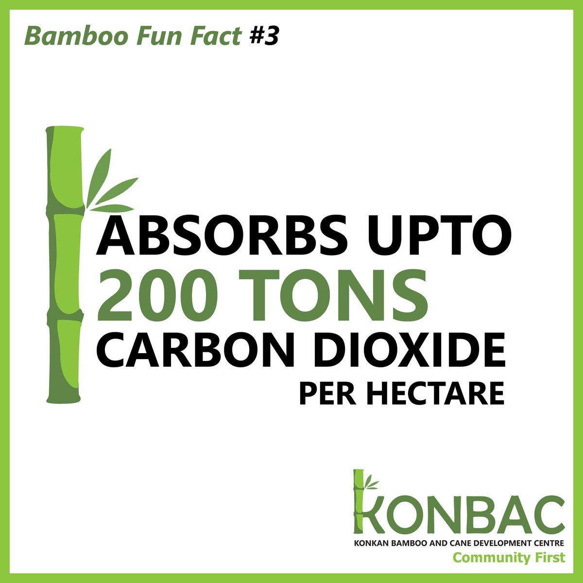 KonbacB's tweet photo. #Bamboo can solve world #ClimateCrisis #sustainableconstruction #lovebamboo #usebamboo #NoPlastic https://t.co/Ft6iDymHGR