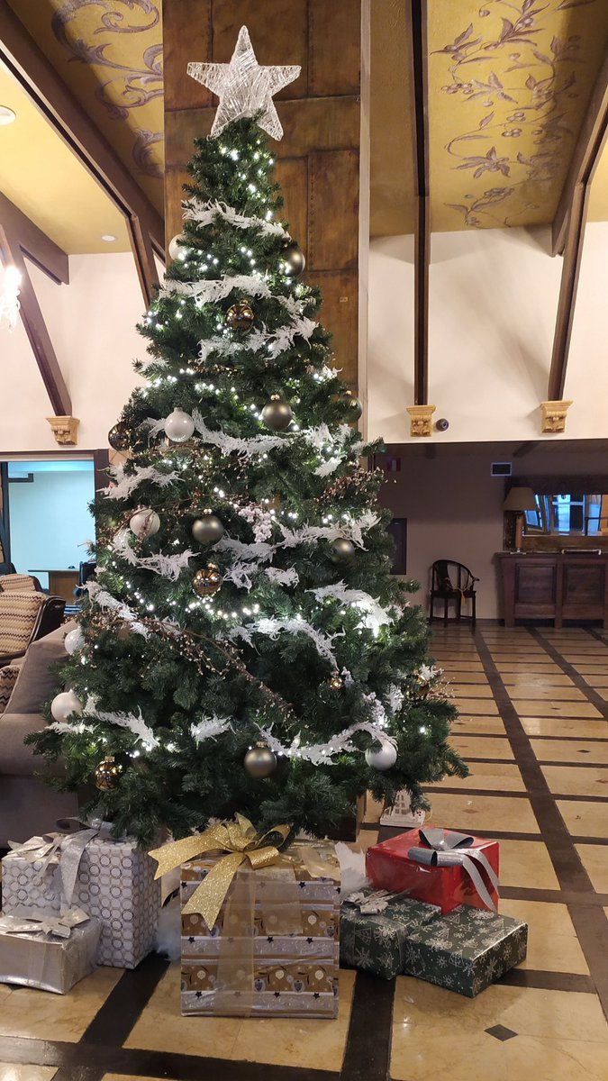 Ya llegó la navidad a Meliá Sierra Nevada! Ven a celebrarla con nosotros.
#MELIASPAIN
#meliaexperiencesierranevada
#onlyinmelia
#skiforia
#meliasierranevada