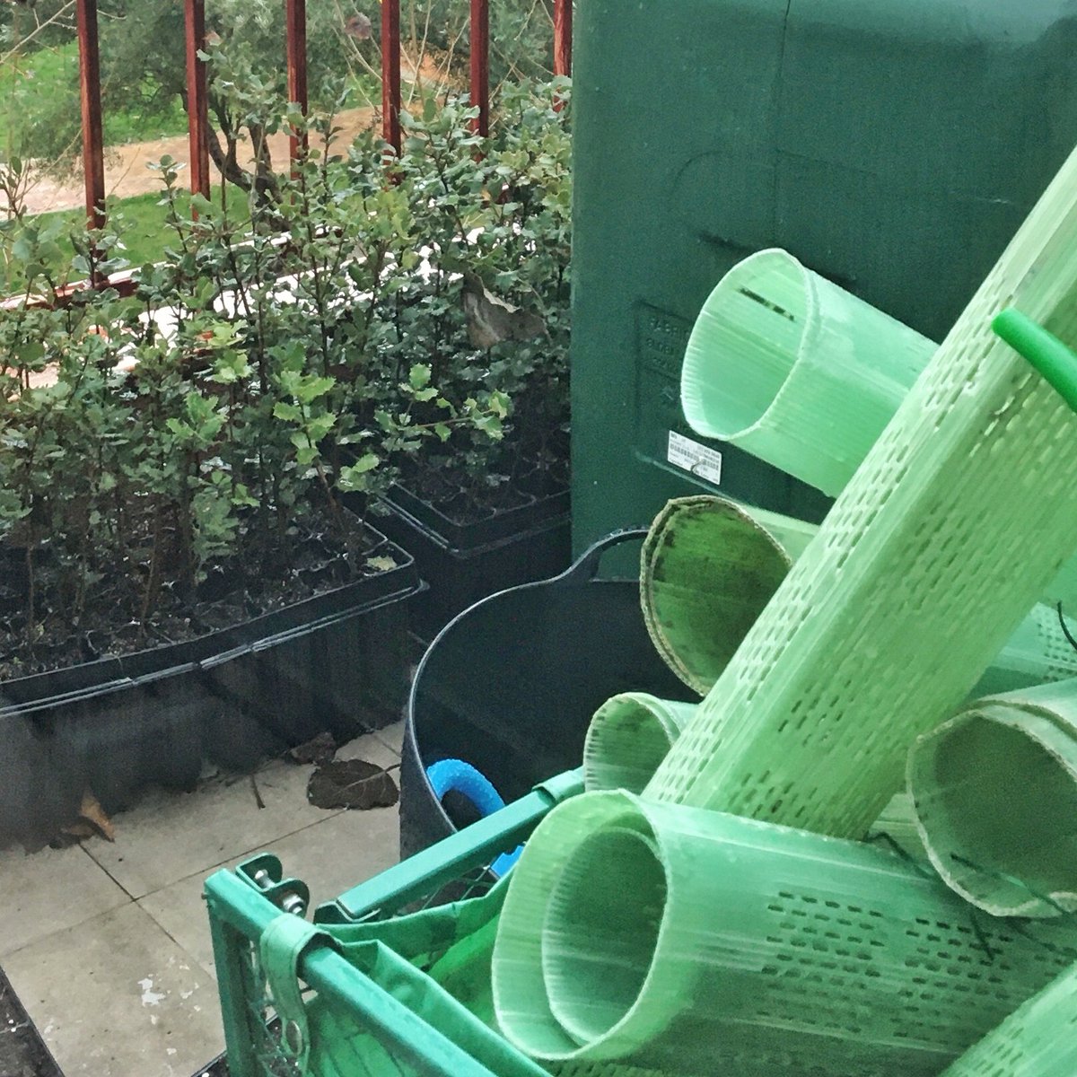 reforesta_ong's tweet photo. En la oficina de Reforesta, el balcón se ha convertido en un pequeño #vivero improvisado. Y estos plantones están felices con tanta #lluvia mientras esperan su momento para ser trasplantados por nuestros socios y #voluntarios. 2020 será su año 😊 https://t.co/FTCDWezDvN
