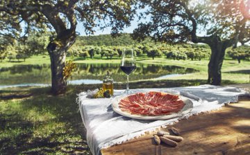 SpanjeNederland's tweet photo. Wat zijn de Gastronomische Escapades die we t meest leuk vinden in Spanje? 🤗
We hebben 17 suggesties voor fijnproevers!
👉https://t.co/KePvQL9ugX
#Gastronomy #Tapas #TravelTips #SpainExperience #SpainRoute #Getaway #FoodieLove #VisitSpain #Spanje
@SaboreaEspana @atasteofspain https://t.co/rx5KwKweCS