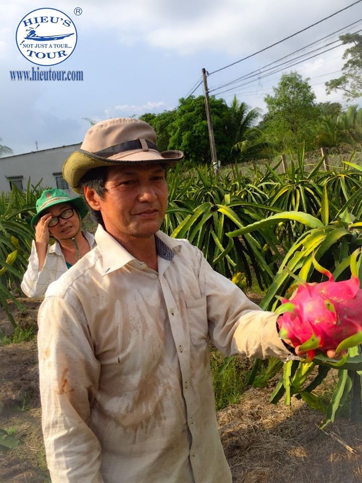 hieutour's tweet photo. ❤️🍎🍏Dragon fruit Plantation.
☑️Get a great insight into Mekong Delta’s countryside 
☑️Learn all about this mysterious fruit and about a local farmer’s lifestyle.
☑️It is also great to walk in the cactus fields and pick some dragon fruits to taste during your visit. https://t.co/ijD427T6EC