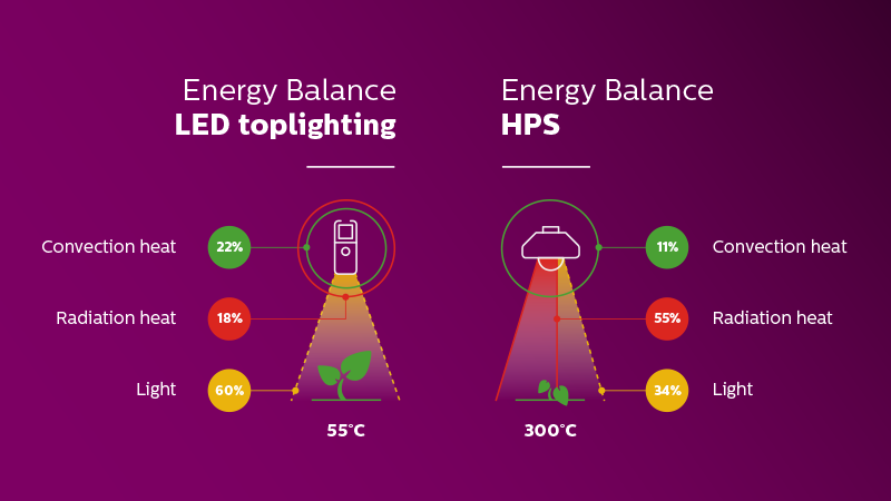 As a grower, you are always looking for the best recipe for #growth – ways to optimize #results, minimize risks and increase #yield. Do you want to know how #GreenPower #LED lighting can help you #switchongrowth ? Esther de Beer explains in her #hortiblog ow.ly/LiEj50xzlTR