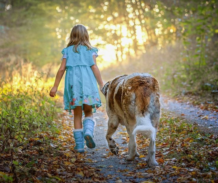 TheBBDirectory's tweet photo. Da Vinci Guest House Gatwick is family and pet friendly. There are beautiful woodland walks nearby for the whole family to enjoy.
https://t.co/cfFecYiRX5
#FamilyFriendly #PetFriendly #Explore #Woodland #Walking #GuestHouse #Accommodation #Ilfield #Crawley #WestSussex #UK https://t.co/HuhoRnvVXk