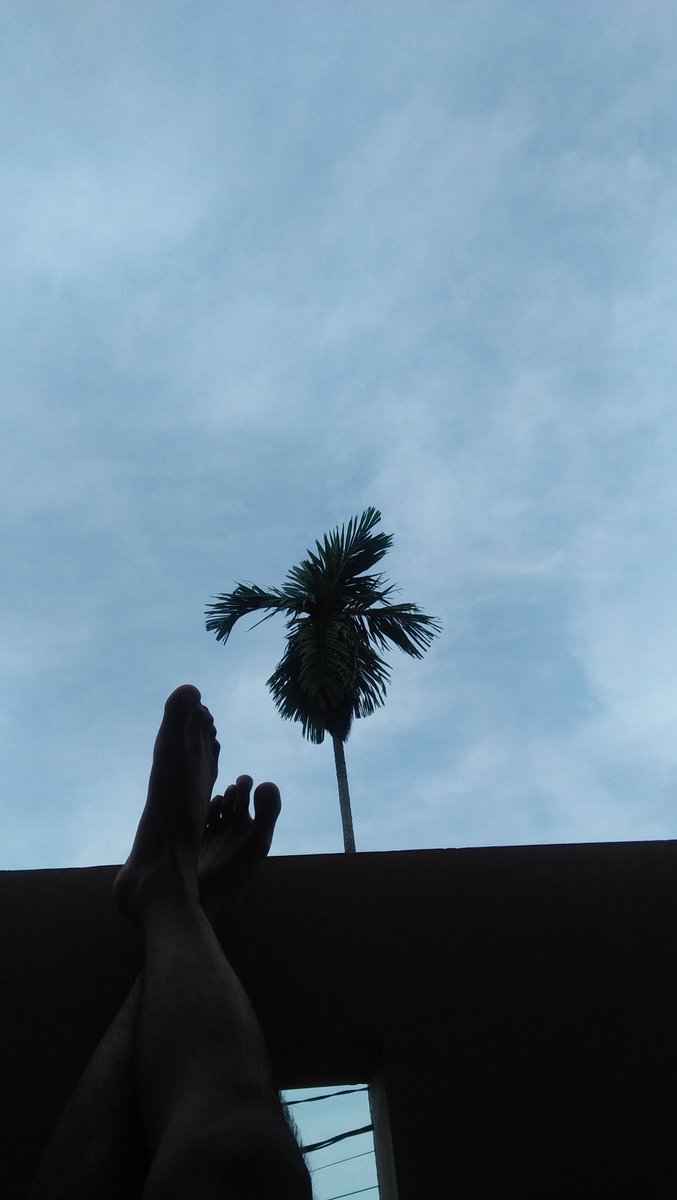 Rii_Pgstu's tweet image. Mendung blm tentu hujan
Pdkt belum tentu jadian:v
#korbanphp