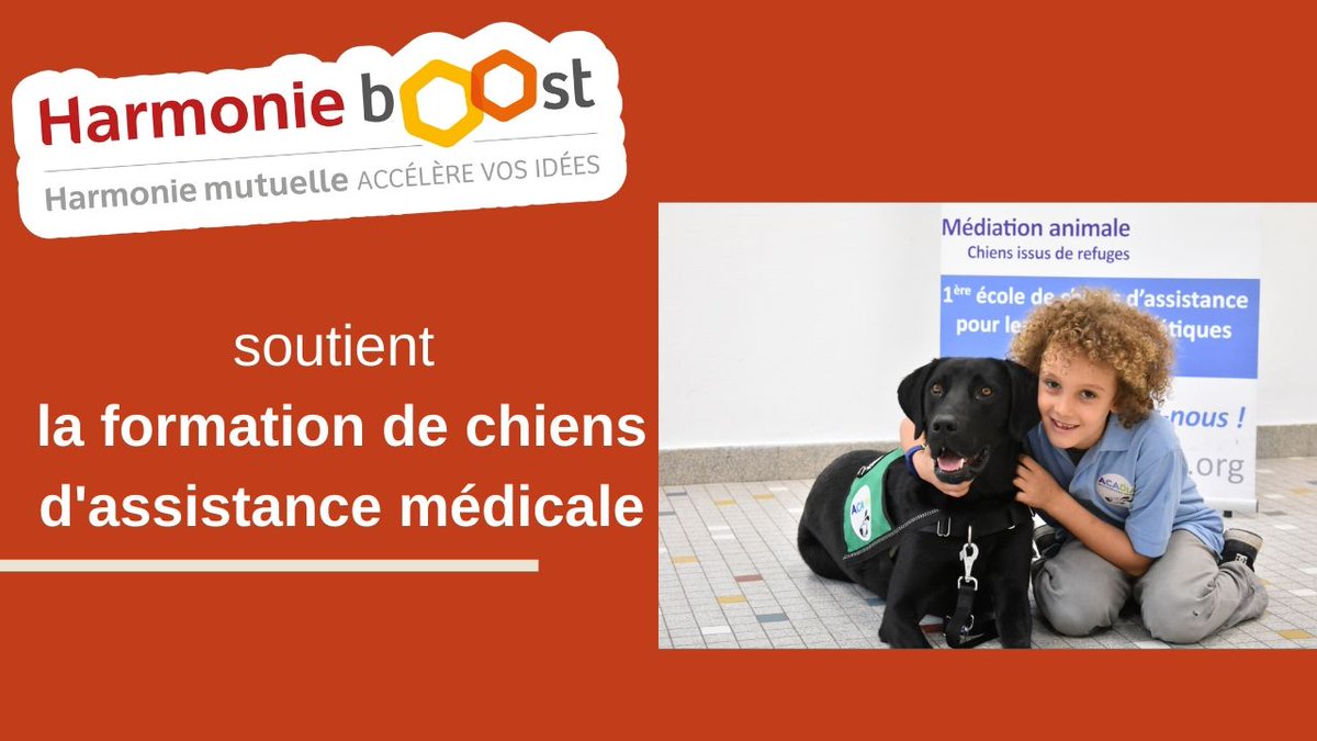 hmutuelle's tweet photo. .#HarmonieBoost2019 - L’association @ACADIA05512728 forme des chiens d’assistance médicale pour détecter des hypo et hyperglycémies à des personnes diabétiques ! Découvrez comment le prix Harmonie Boost leur a permis de financer la formation d’un chien > https://t.co/KTJmVBPgsY https://t.co/RPO5ELIeKC