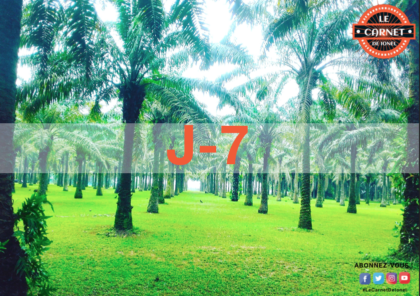 Carnetdeionel's tweet photo. J-7
Photos : Jardin botanique de Bingerville
•
•
•
•
#BlogTrotter #Voyage #LeCarnetDeIonel #Tourisme #CoteDivoire #Nature #découverte #Jardin #Botanique #Bingerville #conservation #plantes #végetaux #plameraie #fromager #HenriKanan #insectes #lézard #serpent #ecureuil https://t.co/XIk07luxVt