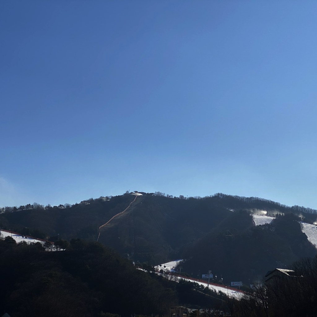 10portrait's tweet photo. 2019-12-Vivaldipark https://t.co/YAH288pauK https://t.co/dJQsAkJVJA