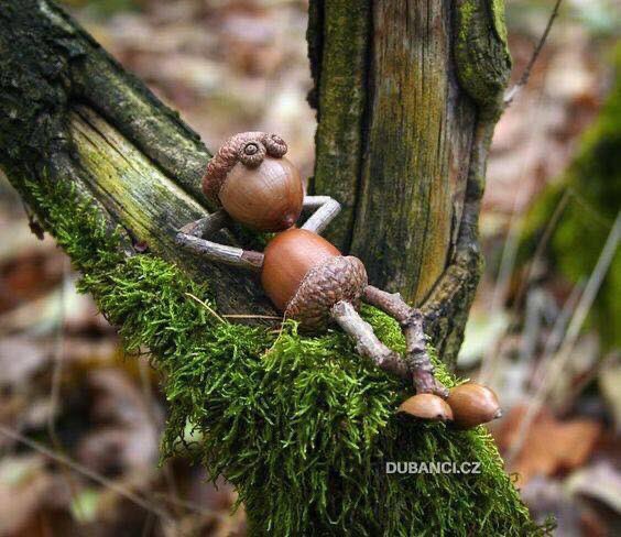 *.* 🌿🌺 tweet media