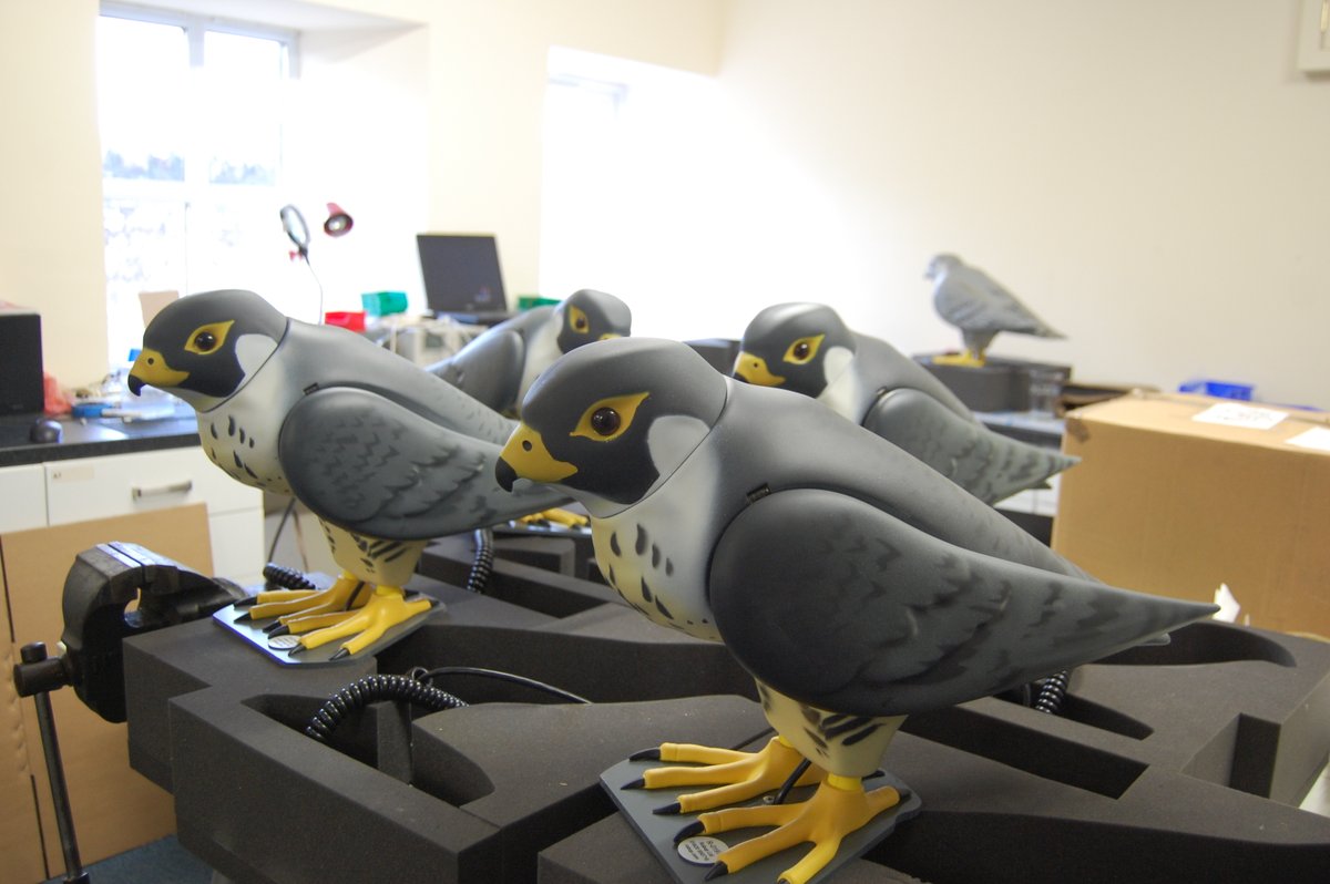 Robop_Ltd's tweet photo. This flock of R:Falcon were shipped off to @DeTect__Inc for use in #Canada. They remain there to this day saving #birds by deterring them from drinking contaminated water. It’s a great feeling when R:Falcon is put to use for #environmental causes. 🐦🍃 https://t.co/JsrRdWaHoy