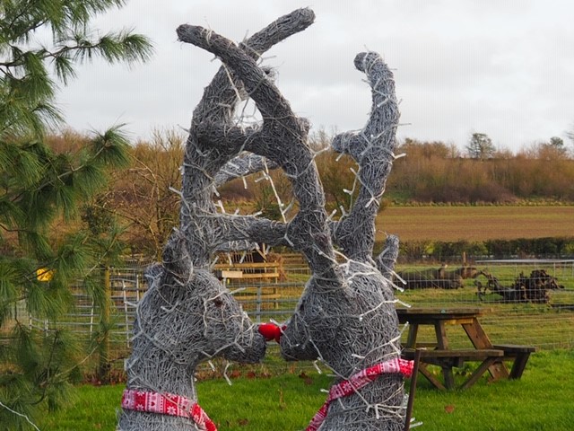 Love is in the air at Wootton Park - Rudolph has found his perfect doe, just in time for #Christmas woottonparkpods.co.uk #stratforduponavon #glamping #romance #hottubs