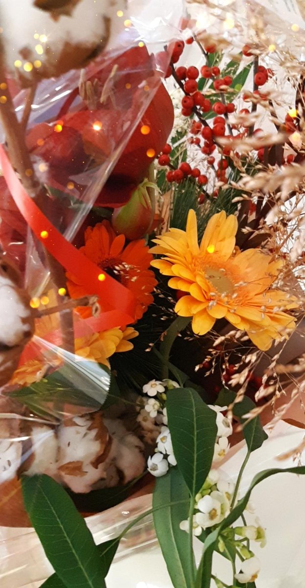 Melding politie De Hoop Katwijk