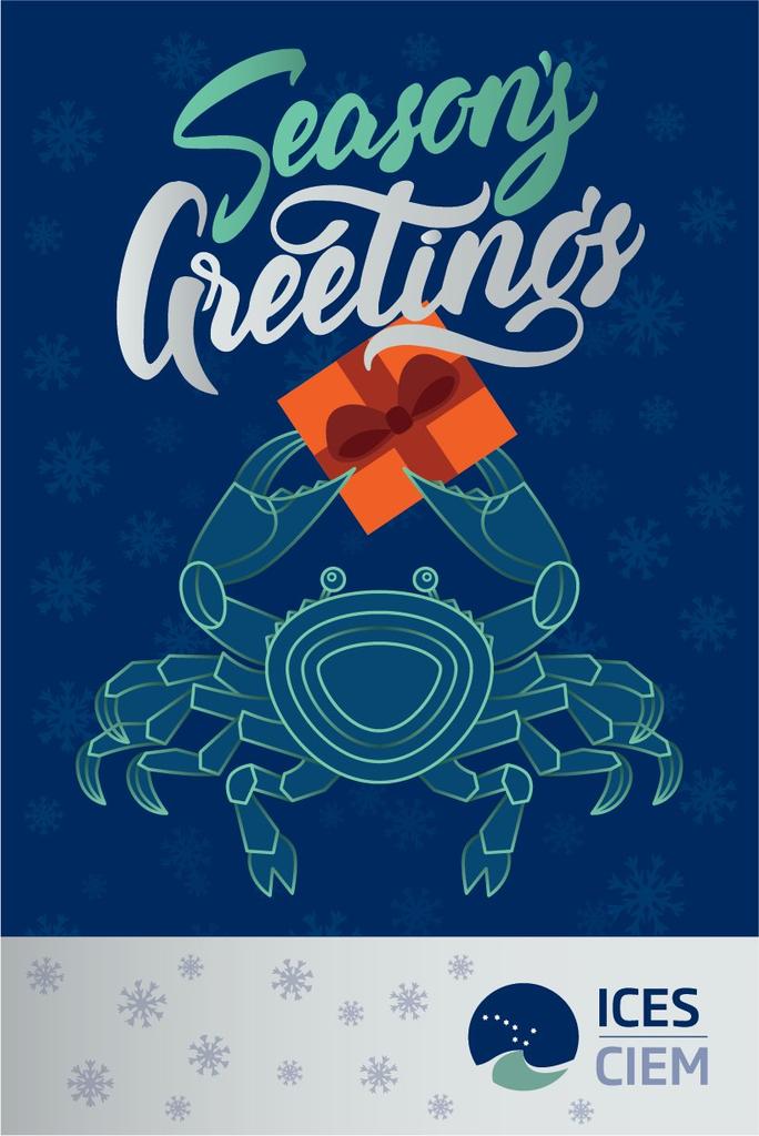 SebValanko's tweet photo. Holidays! Great 2019 collaboration, thank you :-) 2020 to bring next round of exciting science-policy challenges @ICES_ASC community #WGFBIT #WGDEC #deepseaVMEs #MSFDD6 and more! https://t.co/OHjbkunhDl