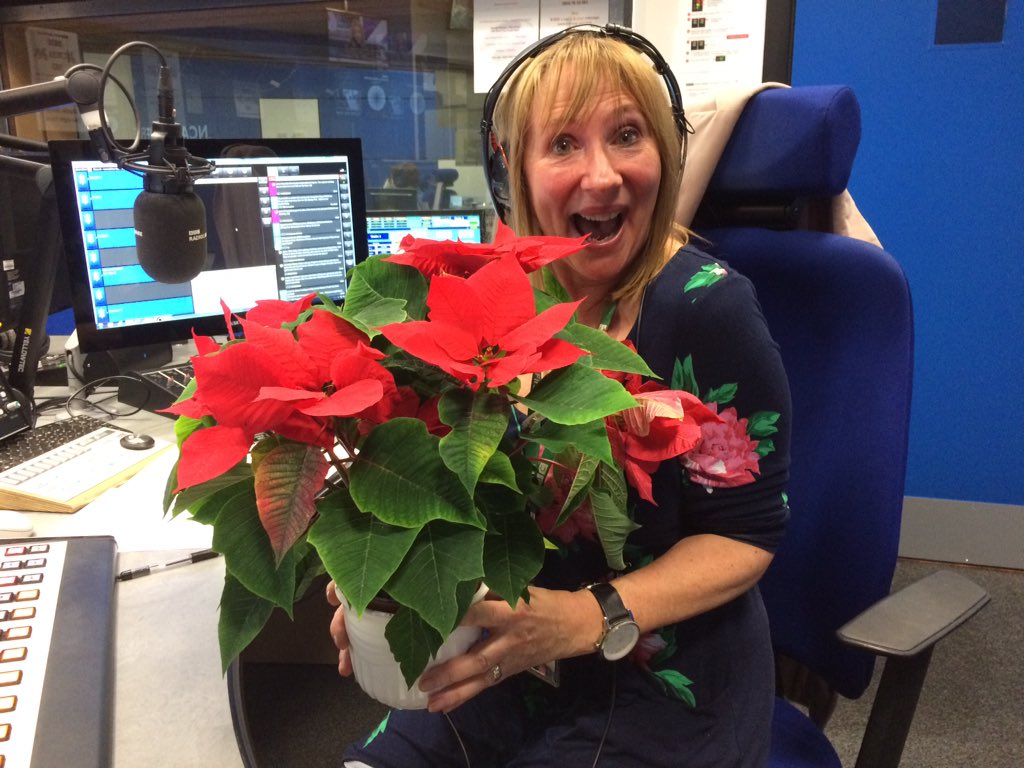 sally jean naden (@sallynaden) on Twitter photo It’s a Christmas Miracle !!! My Poinsettia is alive ... thank you to Sandra <a href="/NishmaHindocha/">Nishma Hindocha</a> for rescuing it! <a href="/BBCLancashire/">BBC Lancashire</a> It’s a Christmas Miracle !!! My Poinsettia is alive ... thank you to Sandra <a href="/NishmaHindocha/">Nishma Hindocha</a> for rescuing it! <a href="/BBCLancashire/">BBC Lancashire</a>