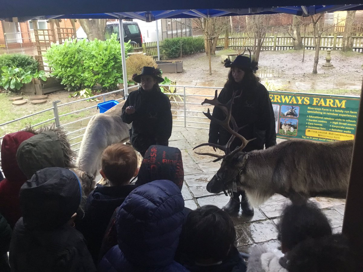 Did you know......

Every year when a reindeer re-grows it’s antlers, they are always the same shape. Fascinating.

 Year 2‘s turn with our reindeer friends.