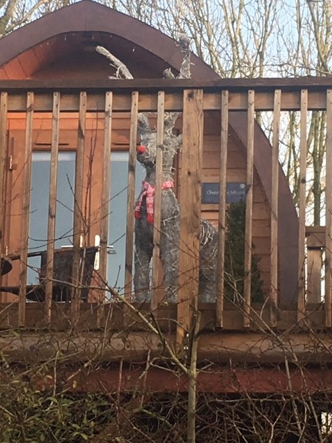Rudolph was at Wootton Park's 'Over The Moon' TreePod today ... we think he was checking out if Santa's sleigh could land on that roof! Check out LAST MINUTE deals for stays in December at woottonparkpods.co.uk  OFFERS #HotTubs #Christmas