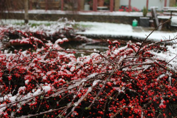 stoswaldsuk's tweet photo. At St Oswald’s we know that Christmas can be a difficult time of year for anyone who is grieving, whether your loved one has died this year, or you were bereaved some time ago. Our Bereavement Team has prepared some advice that you might find helpful: https://t.co/1aK7qKWwmz https://t.co/gAv11cMNvb
