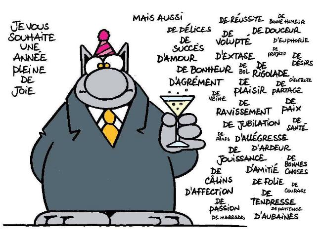 Daniele Bourdais Wishing You All The Best For The Festive Season And For A Successful New Year In French Joyeuses Fetes De Fin D Annee Et Meilleurs Voeux A Tous Pour