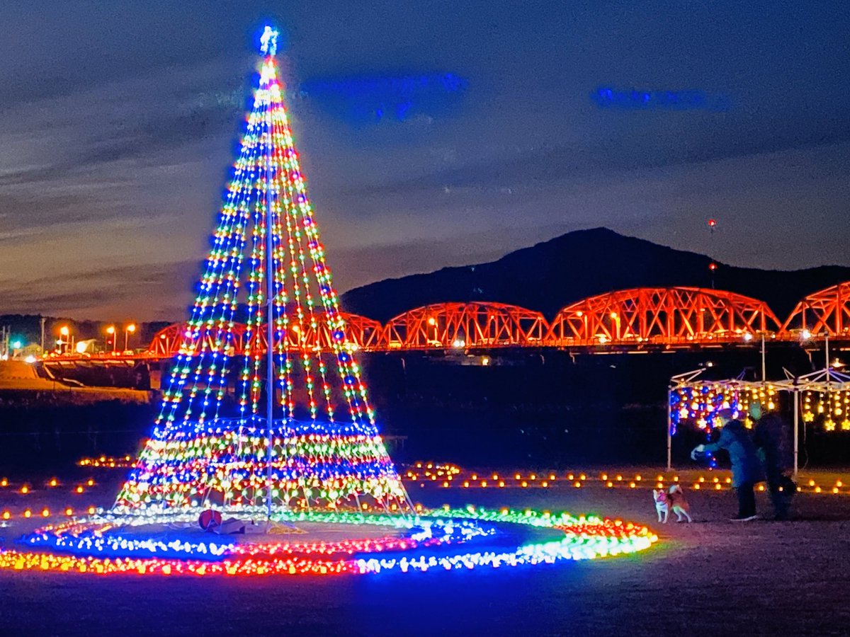 kasahara_4010's tweet photo. 四万十川がクリスマス色に染まった。お祭り広場に高さ5mのツリーや雪だるま。15000個のLEDが輝く。凛とした冬の風が子どもたちの歓声を運ぶ。赤鉄橋がペチカの炎のように暖かい。橋上を忘年会へ急ぐ車のヘッドライトの帯が続く。#クリスマス#四万十川 https://t.co/X5GvQ7u2r8