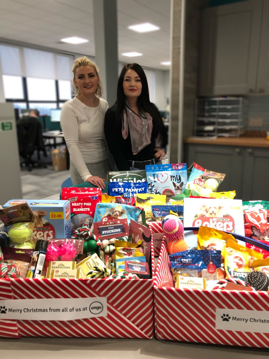 ongoUK's tweet photo. We can't wait to hand over these huge boxes of treats to @JerryGreenDogs, that staff have kindly donated, as part of our Christmas collections.🙂 Well done to everyone involved, there will certainly be lots of wagging tails. 🐶🎄 #Christmas2019 https://t.co/KupueJ3Dur