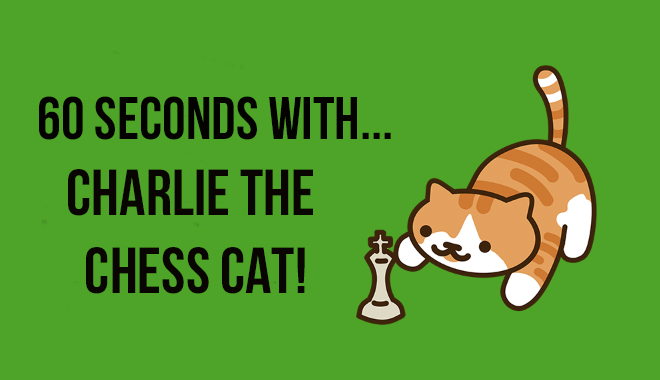Grandmeowster Charlie the Chess Cat ♟🌈 tweet media