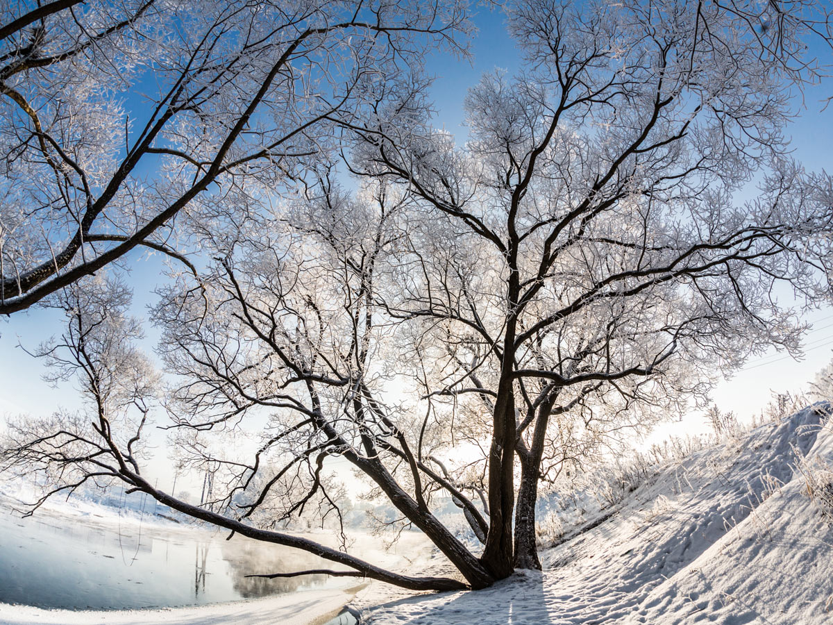 CanonGreece's tweet image. «Πάντα συνιστώ λίγη υπερέκθεση ώστε η τελική λήψη να μοιάζει με αυτό που αντιλαμβάνονται τα μάτια μας...». Διάβασε τα #canontips του Canon Ambassador Vladimir Medvedev για την έκθεση σε φωτεινά χιονισμένα σκηνικά: canon.sm/2Z7r84p 
©  Canon Ambassador - Vladimir Medvedev