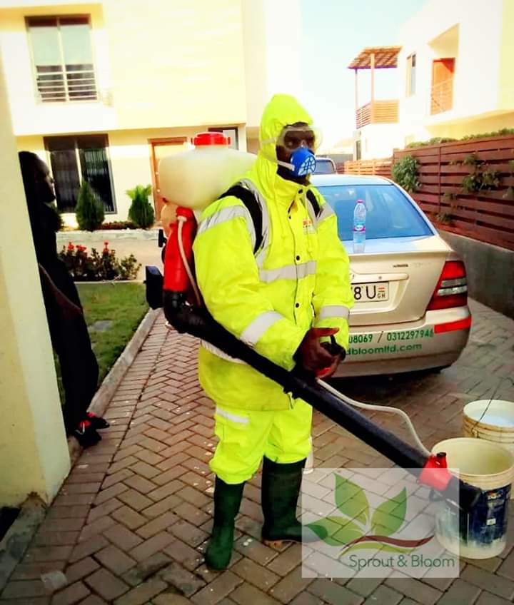 sproutandbloom's tweet image. Let's pave the way for Santaclaus.Let's make your Christmas pest and reptile-free..😊💪 #WeFumigate

#SproutAndBloom #Landscaping #Fumigation #GardenMaintenance &amp;amp; more.. ☎ us on.    0312 297946.Whatsapp 0500141333....
..for a touch of CLASS ABOVE GREEN🍃🍀😊
#PleaseShare🙏