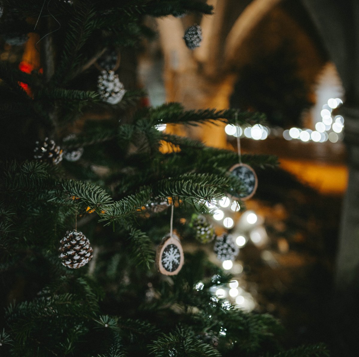 Bristol Waste tweet media