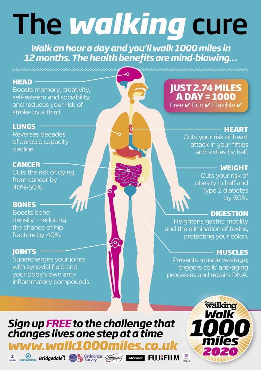 Don't join a gym, when there's a world out there that your body and mind just love to be in. Don't spend hundreds of pounds. Walk 1000 miles. walk1000miles.co.uk #walk1000miles