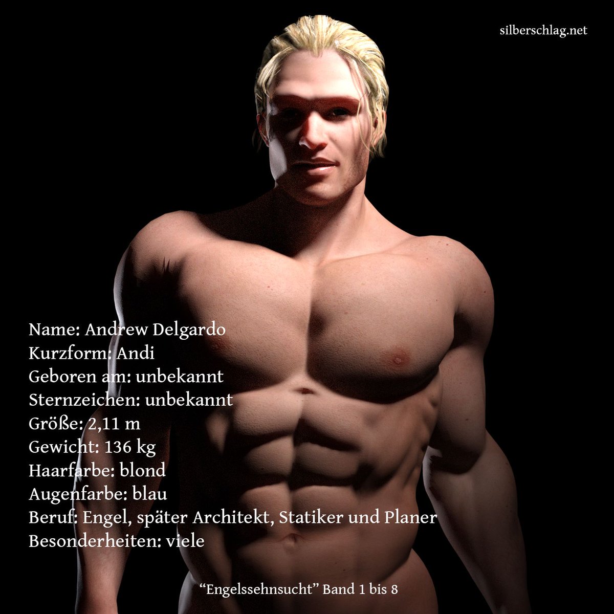 #amazon #kindleunlimited #silberschlag #engelssehnsucht #engel #andidelgardo #steckbrief