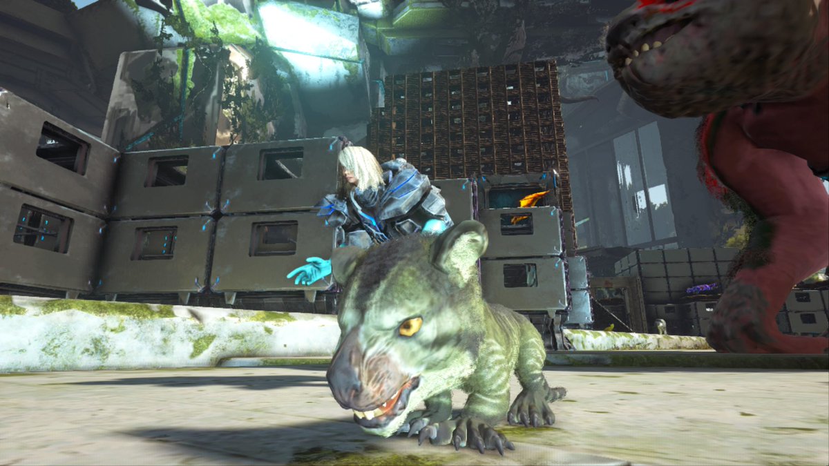 パイロンオー Ark クリスマスイベントの チビ収穫 クリスマスカラー スカウトをパシャリ で 申し訳ございません パイロンオー Ark クリスマスイベントの チビ収穫 クリスマスカラー スカウトをパシャリ で 申し訳ございません