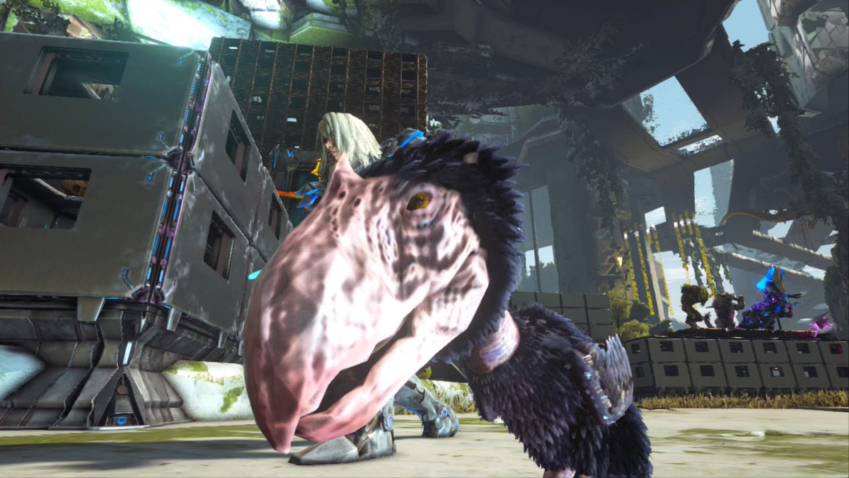パイロンオー Ark クリスマスイベントの チビ収穫 クリスマスカラー スカウトをパシャリ で 申し訳ございません パイロンオー Ark クリスマスイベントの チビ収穫 クリスマスカラー スカウトをパシャリ で 申し訳ございません