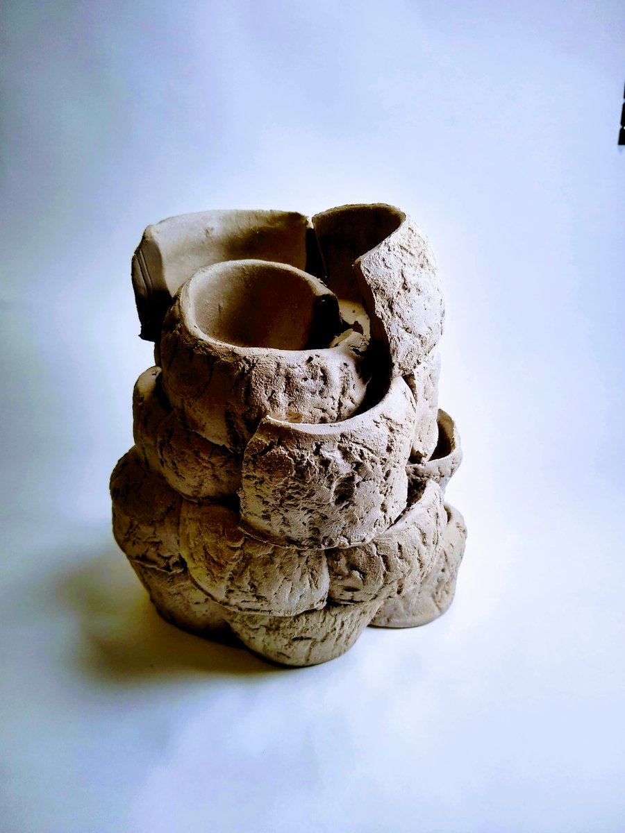 GCSE artists have been busy preparing their ceramics pieces for their Personal Portfolios. Stunning results! #BSCSeniorSchoolArtDept #CeramicsUK