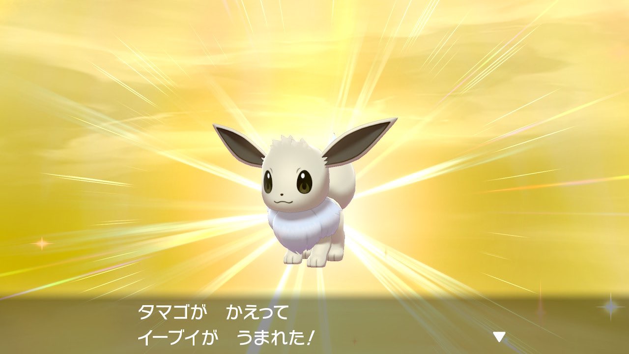 びちょ ムンボ入色違い夢特性イーブイ生まれたあぁああああ 孵化数は9 モグリューよりだいぶ早くて嬉しい かわいい 夢特性来てよかった T Co Eil8uijwxs Twitter