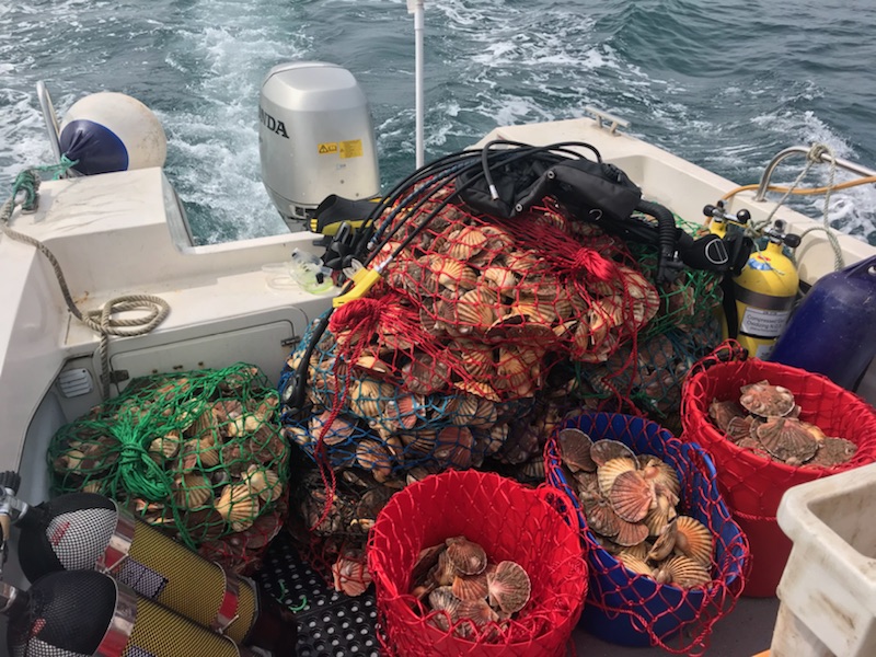 boxinghareuk's tweet photo. Our seafood is as fresh as you can get! 😍

Reservations - https://t.co/mD4NqXhpw3

#seafood #freshproduce #cotswolds #chippingnorton #gastropub #foodie #placestoeat https://t.co/gn2oKpZVG9